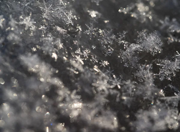 Flocos de neve no gelo — Fotografia de Stock