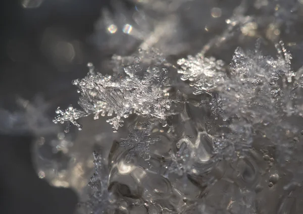 Snowflakes on Ice — Stockfoto