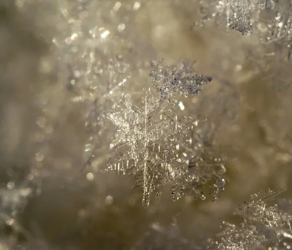Snowflakes on Ice — Stock Photo, Image