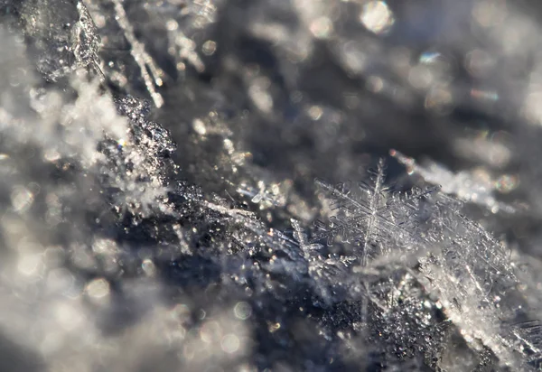 Fiocchi di neve sul ghiaccio — Foto Stock