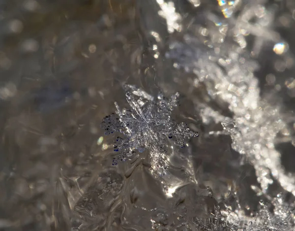 Copos de nieve sobre hielo —  Fotos de Stock