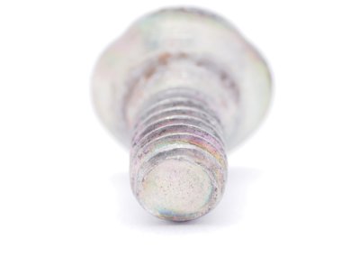 Beyaz arkaplanda vida