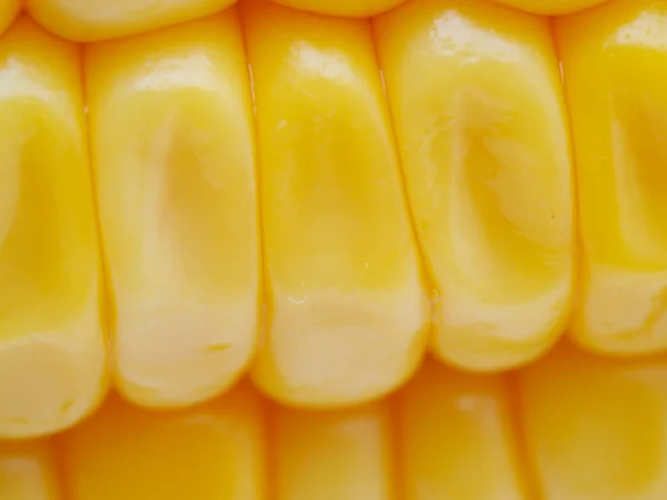Corn close up — Stock Photo, Image