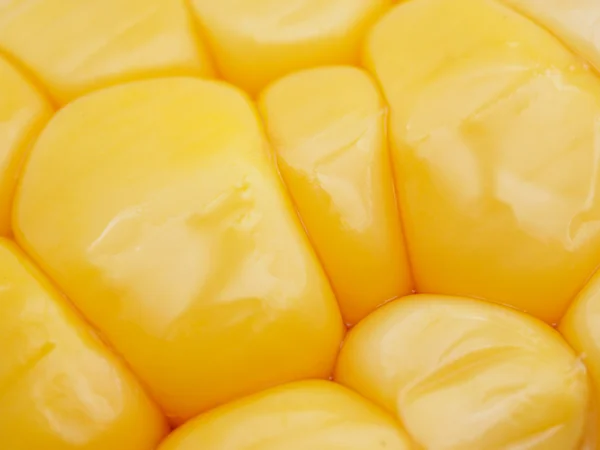 Corn close up — Stock Photo, Image