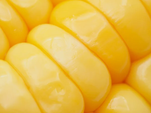 Corn close up — Stock Photo, Image