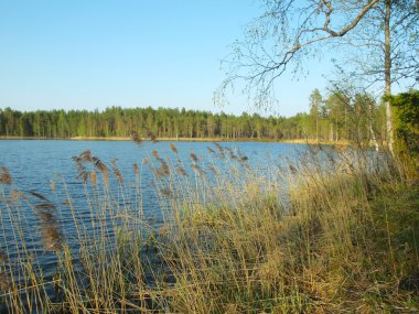 Karelia 'daki güzel göl