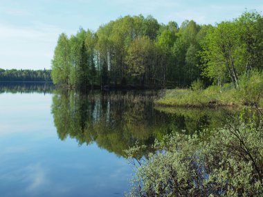 Karelia 'daki güzel göl