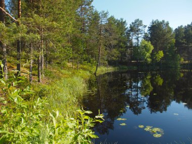Karelia 'daki güzel göl