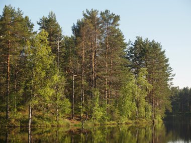 Karelia 'daki güzel göl