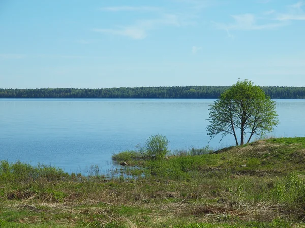 Krásné jezero v Karelii — Stock fotografie