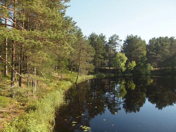 Beau lac en Carélie — Photo