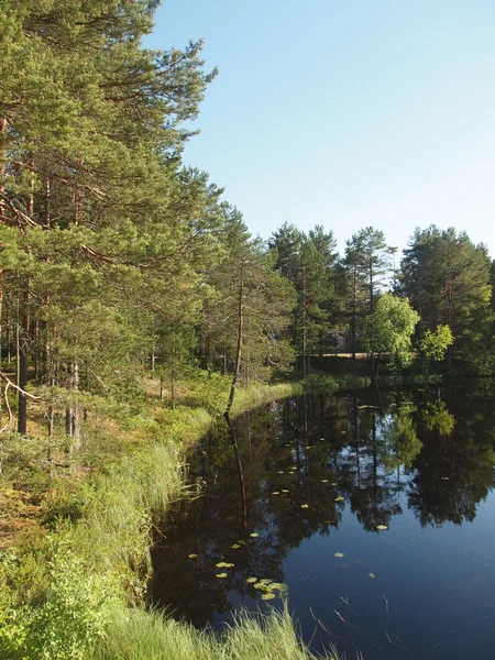 Krásné jezero v Karelii — Stock fotografie
