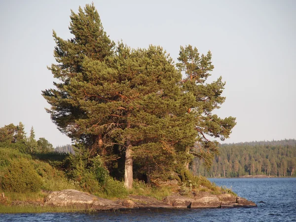 Krásné jezero v Karelii — Stock fotografie