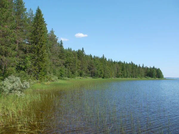 Beautiful lake in Karelia Stock Picture