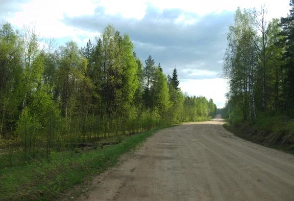 Ormandaki toprak yolda.