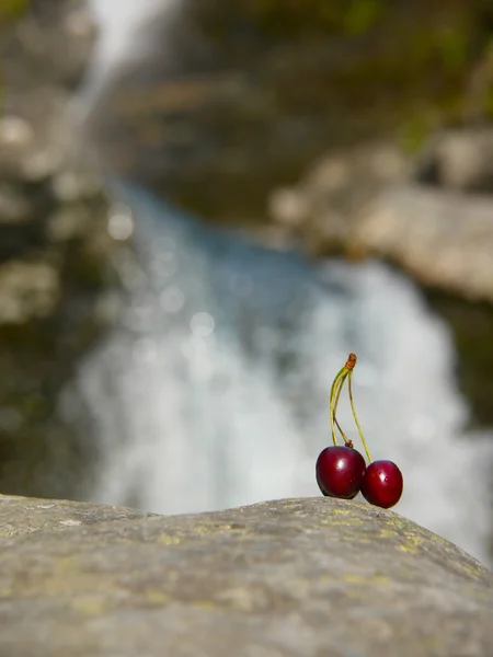 Cerise sur un fond de cascade — Photo