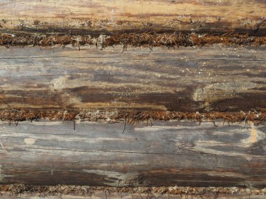 Ahşap günlük duvarlar. arka plan