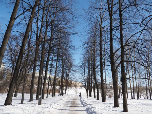 Parco invernale — Foto Stock