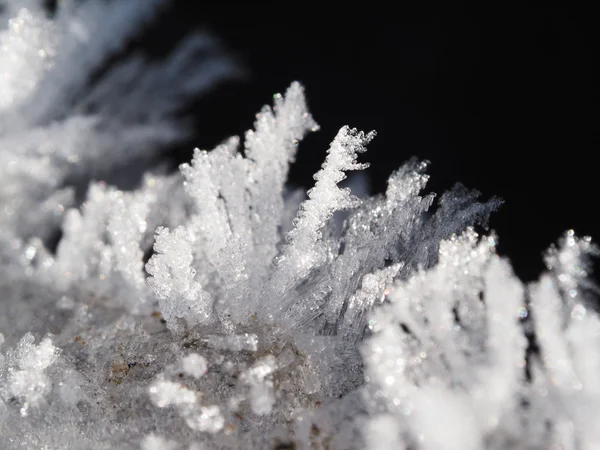Кристали льоду — стокове фото
