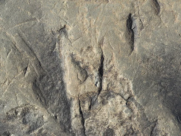 Piedra. antecedentes — Foto de Stock