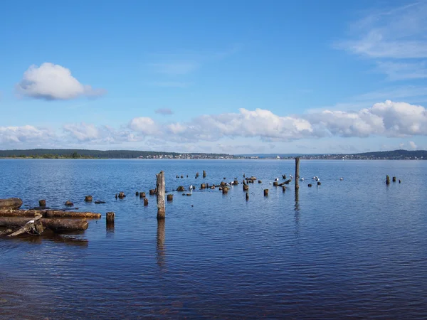 Old pile on the lake — Stock Photo, Image