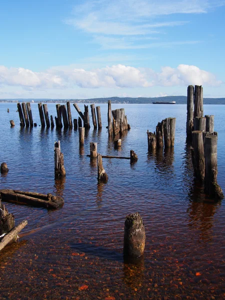 Vecchio mucchio sul lago — Foto Stock