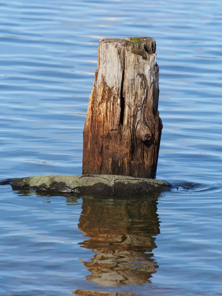 Alter Haufen am See — Stockfoto