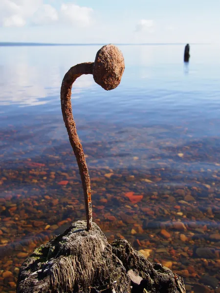 Velho prego enferrujado no lago — Fotografia de Stock