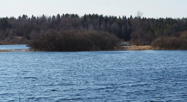 Junto al lago — Foto de Stock