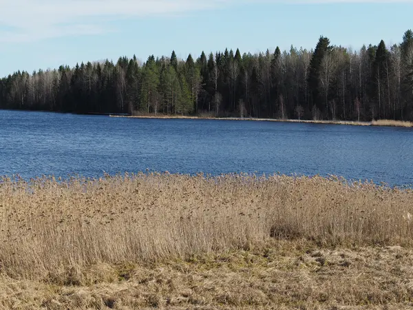 Sjösidan — Stockfoto