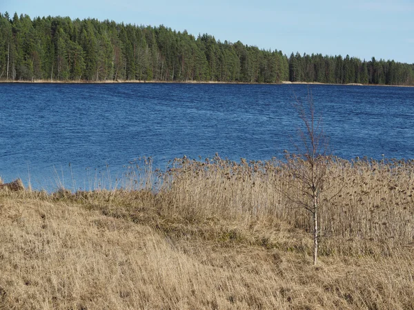 Junto al lago — Foto de Stock