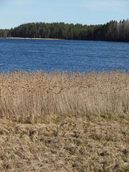 Sjösidan — Stockfoto