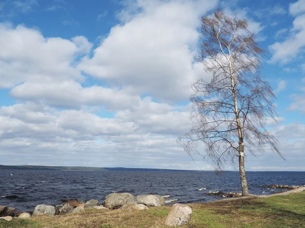 Junto al lago — Foto de Stock