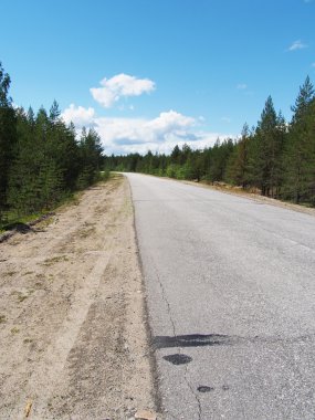 Ormanda asfalt yol