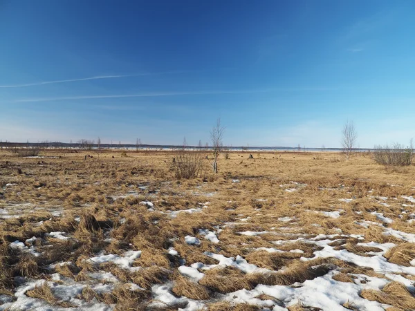 Veld in het vroege voorjaar — Stockfoto