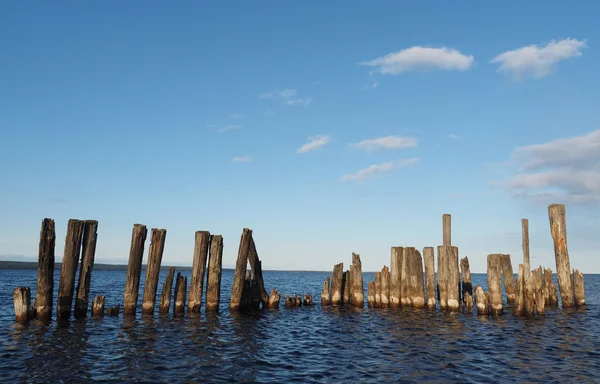Pilas viejas en el lago —  Fotos de Stock