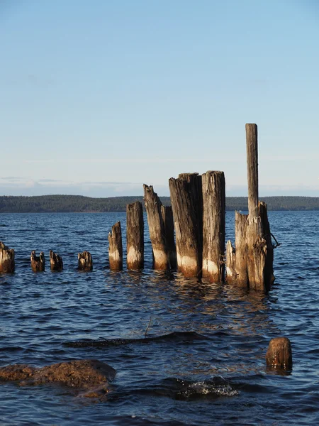 Old piles in the lake — Stock Photo, Image