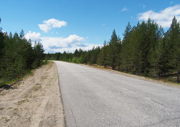 Droga asfaltowa w lesie — Zdjęcie stockowe