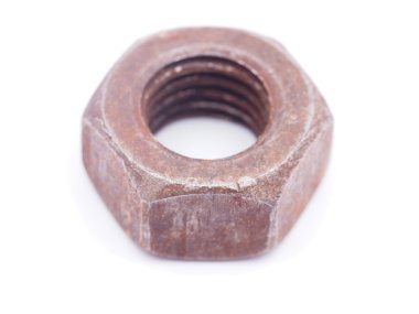 Beyaz arkaplanda fındıklar