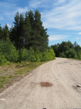 orman yolu