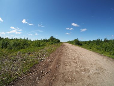 orman yolu