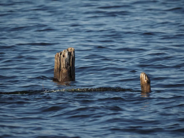 Alte Pfähle im See — Stockfoto