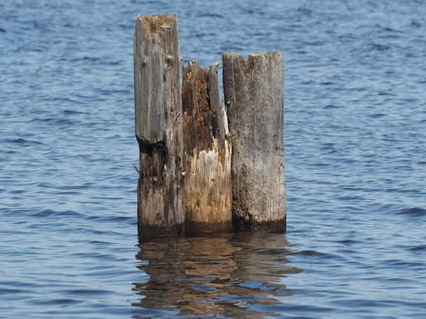 Alte Pfähle im See — Stockfoto