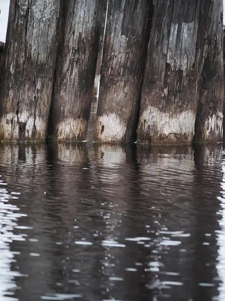 Pilas viejas en el lago — Foto de Stock