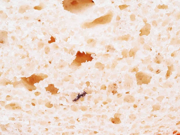 Bröd på en vit bakgrund — Stockfoto
