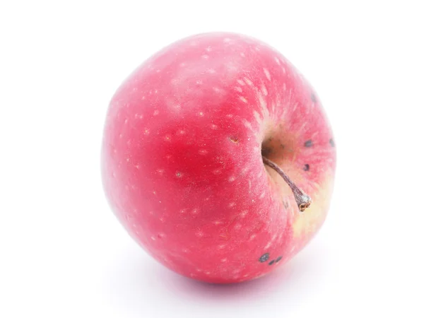 白地にりんご — ストック写真