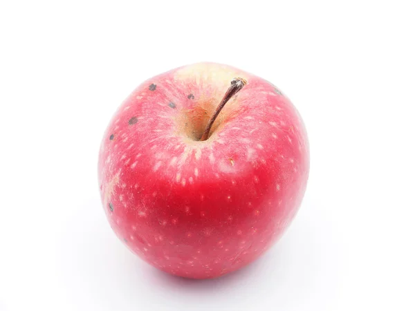 Apple on a white background — Stock Photo, Image