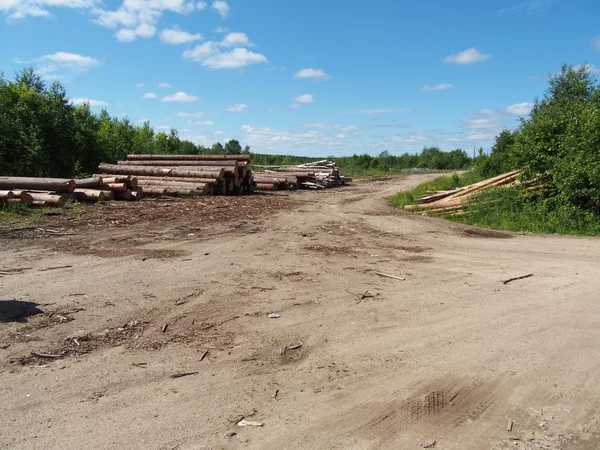 Logs de estrada — Fotografia de Stock