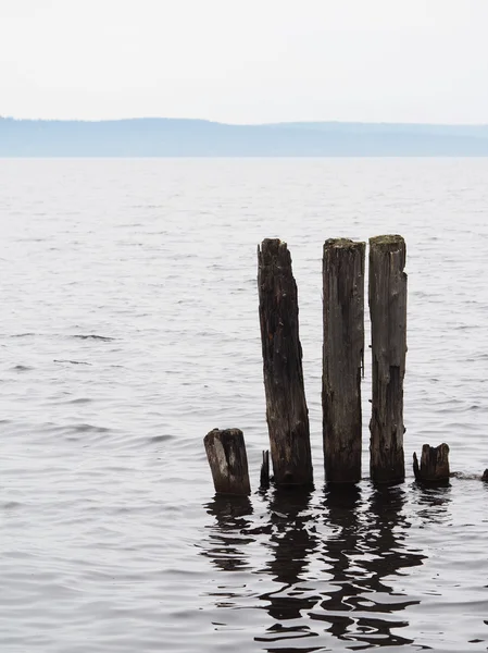 Old piles in the lake — Stock Photo, Image