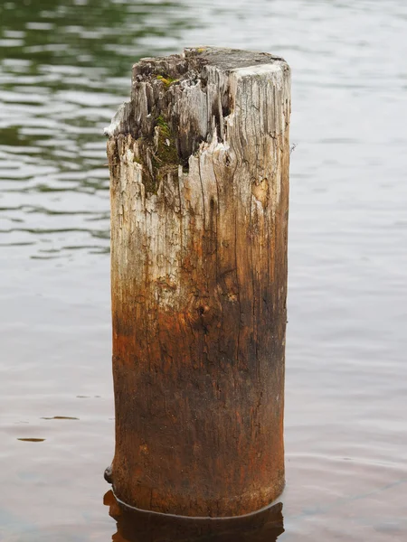 Pilas viejas en el lago — Foto de Stock